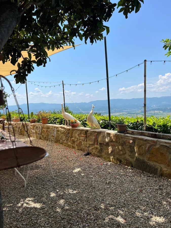 Agriturismo I Millepini Case Malva Ngoại thất bức ảnh