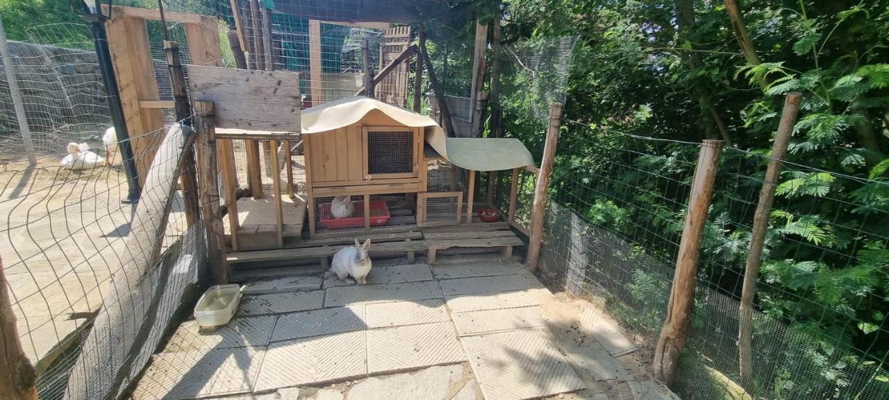 Agriturismo I Millepini Case Malva Ngoại thất bức ảnh